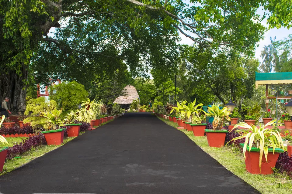 Photo of Andaman & Nicobar Island - My First Ever Visit To An Island by Vaswati
