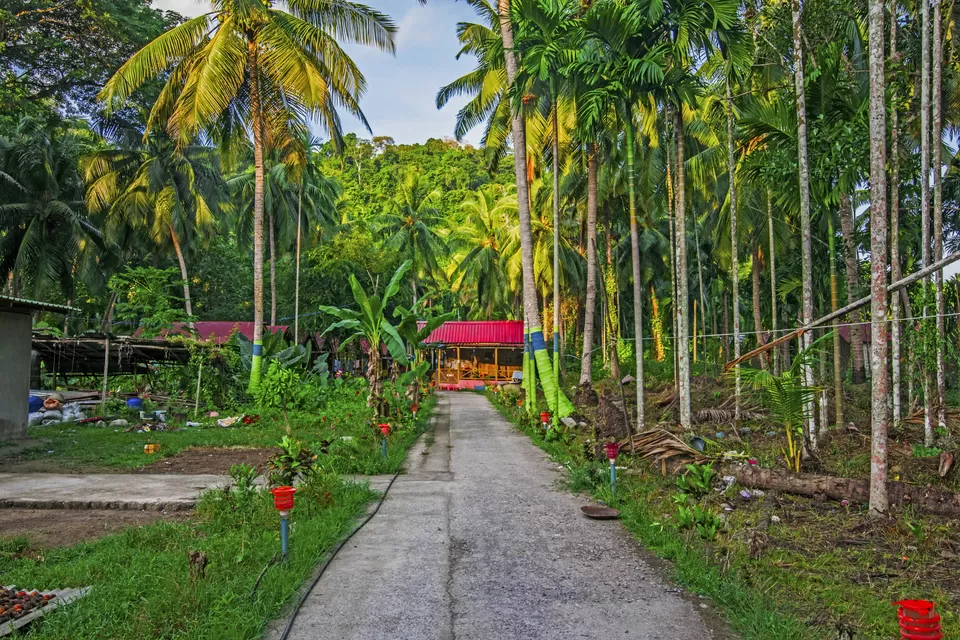 Photo of Andaman & Nicobar Island - My First Ever Visit To An Island by Vaswati