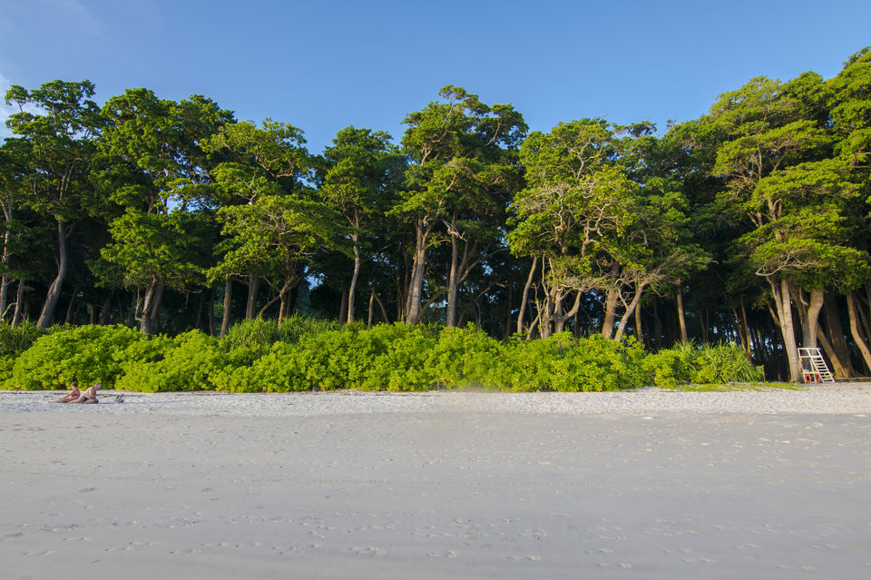 Photo of Andaman & Nicobar Island - My First Ever Visit To An Island by Vaswati