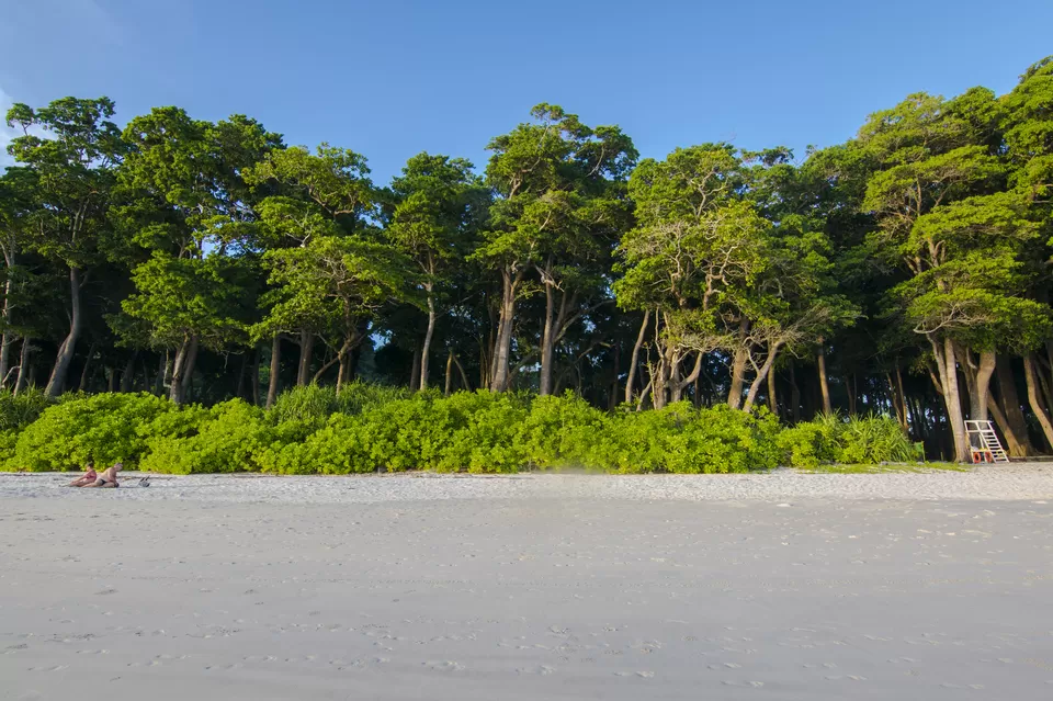Photo of Andaman & Nicobar Island - My First Ever Visit To An Island by Vaswati