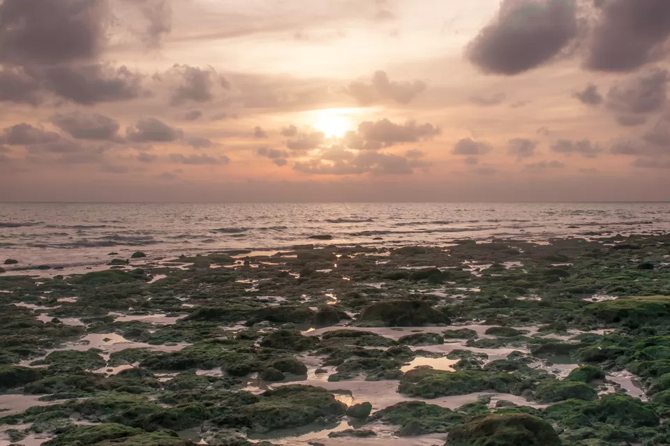 Photo of Andaman & Nicobar Island - My First Ever Visit To An Island by Vaswati