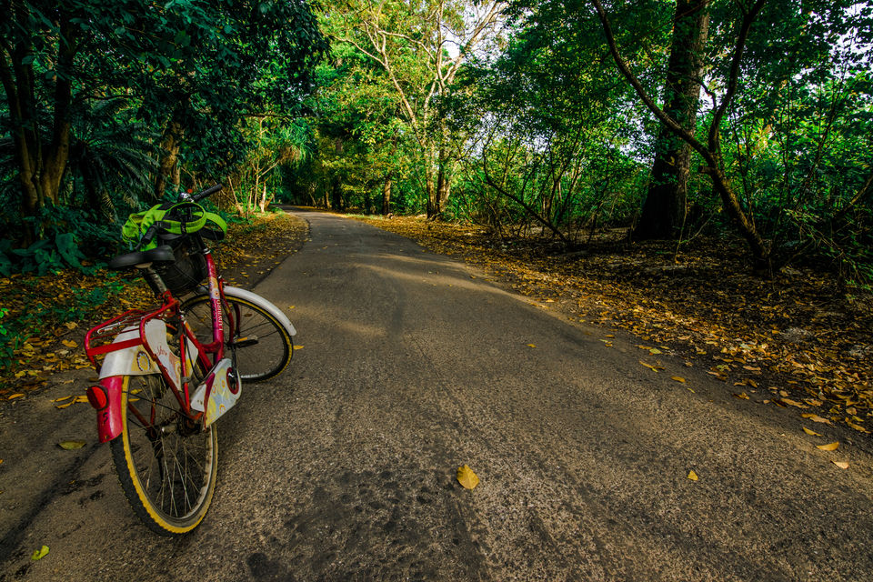 Photo of Andaman & Nicobar Island - My First Ever Visit To An Island by Vaswati