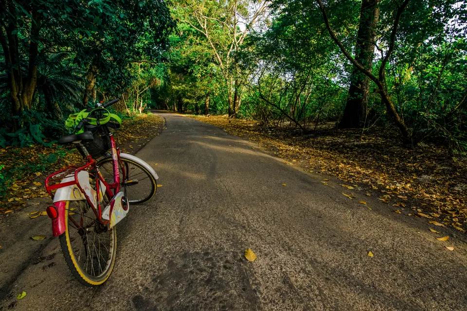Photo of Andaman & Nicobar Island - My First Ever Visit To An Island by Vaswati