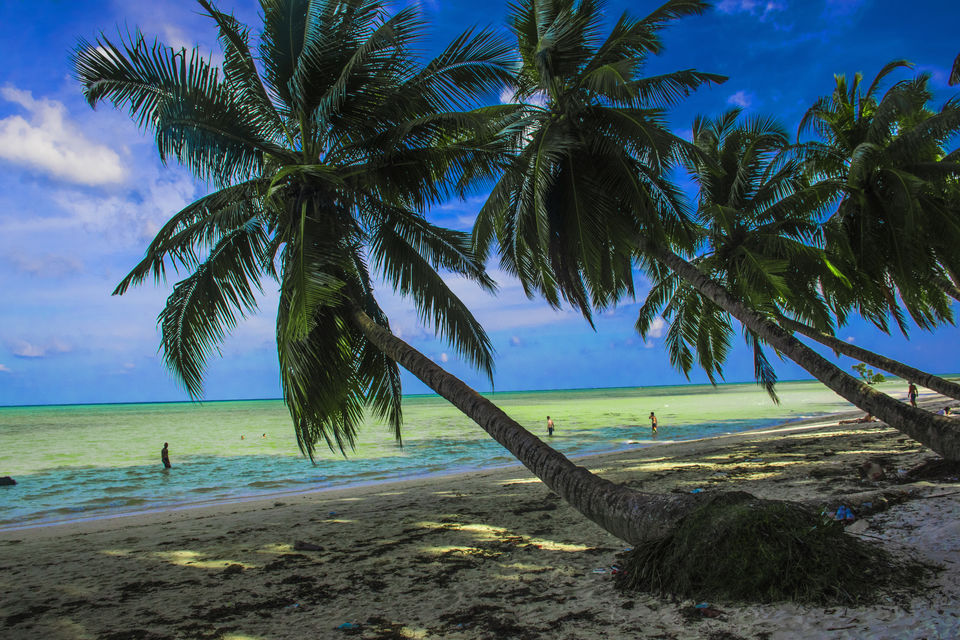 Photo of Andaman & Nicobar Island - My First Ever Visit To An Island by Vaswati