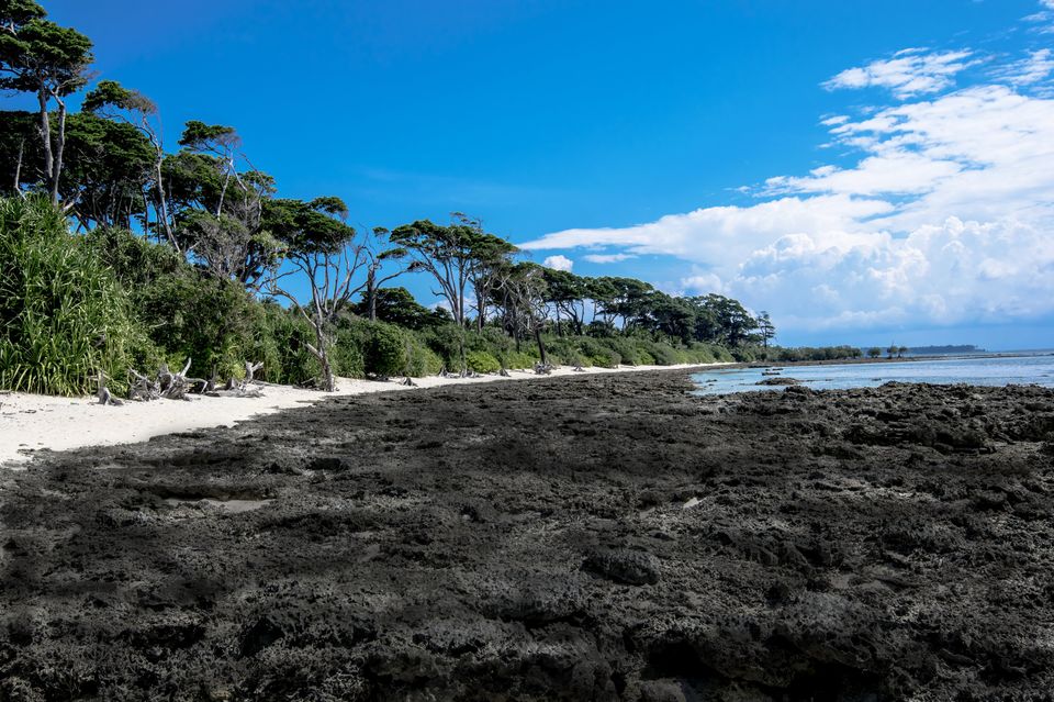Photo of Andaman & Nicobar Island - My First Ever Visit To An Island by Vaswati