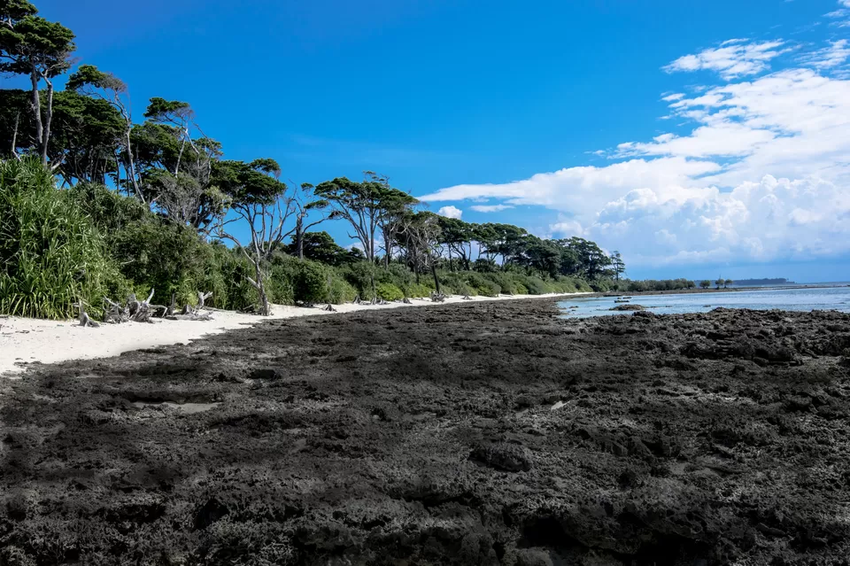 Photo of Andaman & Nicobar Island - My First Ever Visit To An Island by Vaswati