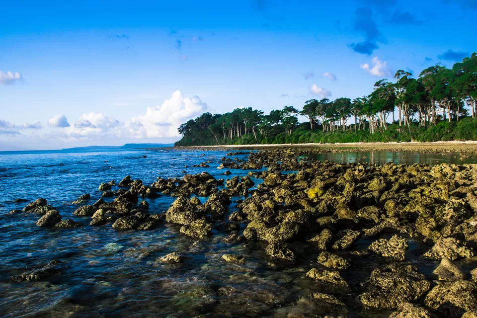 Photo of Andaman & Nicobar Island - My First Ever Visit To An Island by Vaswati