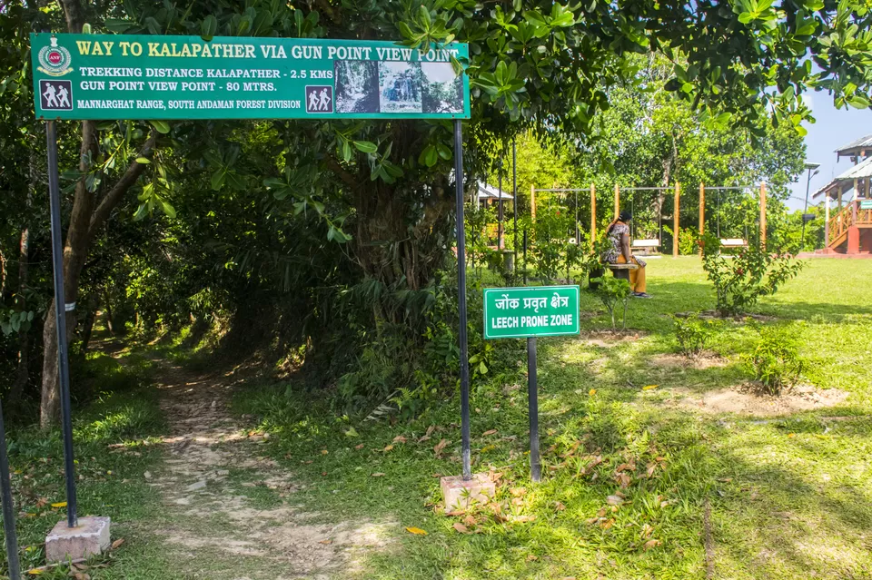Photo of Andaman & Nicobar Island - My First Ever Visit To An Island by Vaswati