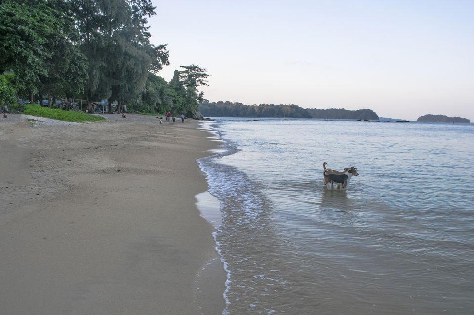Photo of A day trip to Mahatma Gandhi Marine National Park and Chidiyatapu, Port Blair, A & N Island by Vaswati