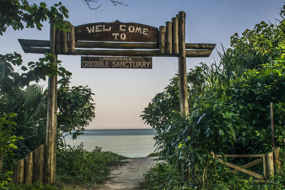 Photo of A day trip to Mahatma Gandhi Marine National Park and Chidiyatapu, Port Blair, A & N Island by Vaswati