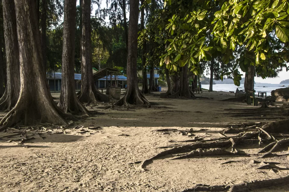 Photo of Wandoor Beach वंडूर बीच, State Highway 8, Andaman and Nicobar Islands, India by Vaswati