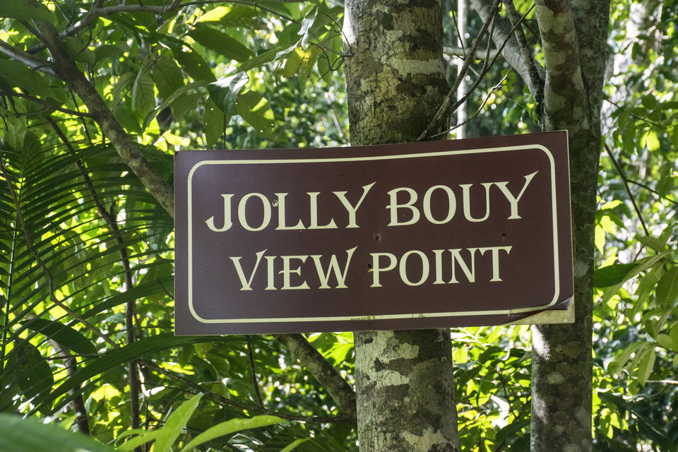 Photo of A day trip to Mahatma Gandhi Marine National Park and Chidiyatapu, Port Blair, A & N Island by Vaswati