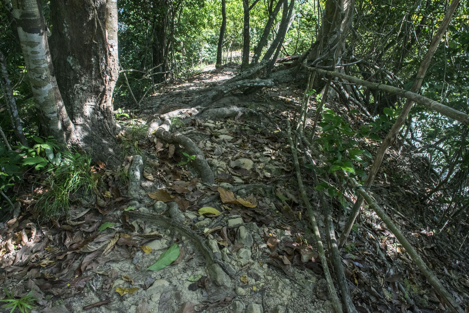 Photo of A day trip to Mahatma Gandhi Marine National Park and Chidiyatapu, Port Blair, A & N Island by Vaswati
