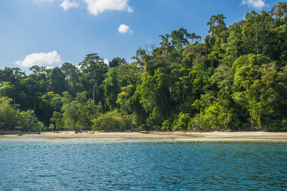 Photo of A day trip to Mahatma Gandhi Marine National Park and Chidiyatapu, Port Blair, A & N Island by Vaswati
