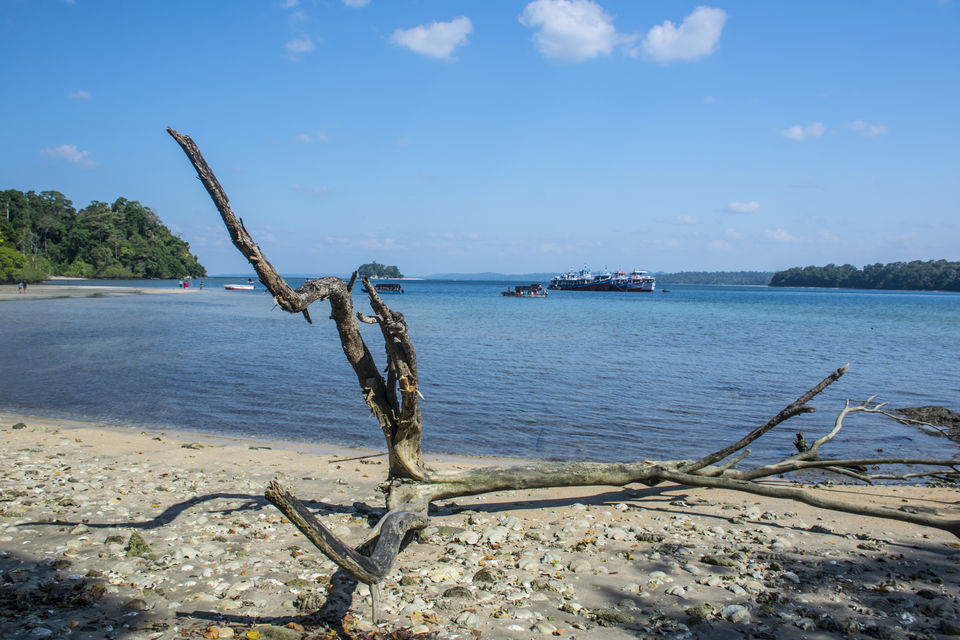 Photo of A day trip to Mahatma Gandhi Marine National Park and Chidiyatapu, Port Blair, A & N Island by Vaswati