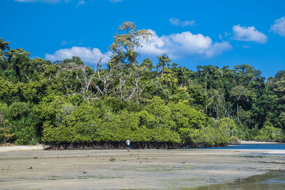 Photo of A day trip to Mahatma Gandhi Marine National Park and Chidiyatapu, Port Blair, A & N Island by Vaswati