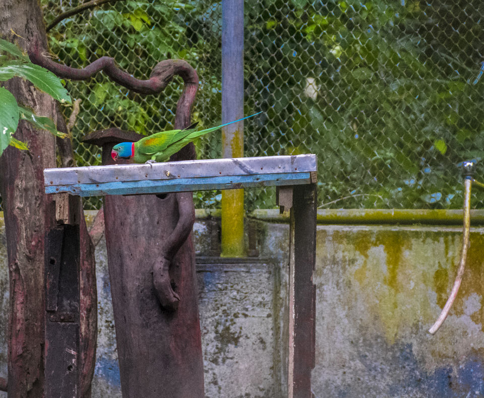 Photo of A day trip to Mahatma Gandhi Marine National Park and Chidiyatapu, Port Blair, A & N Island by Vaswati
