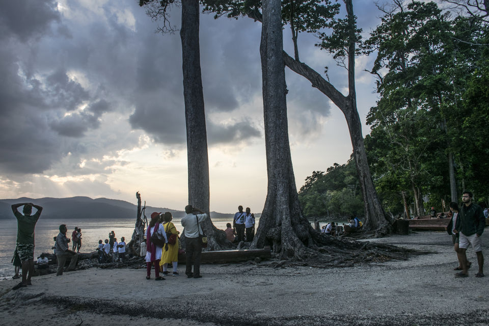 Photo of A day trip to Mahatma Gandhi Marine National Park and Chidiyatapu, Port Blair, A & N Island by Vaswati