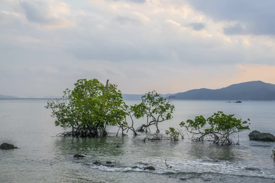 Photo of Chidiya Tapu, Andaman and Nicobar Islands, India by Vaswati
