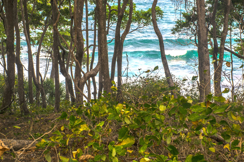 Photo of A day trip to Mahatma Gandhi Marine National Park and Chidiyatapu, Port Blair, A & N Island by Vaswati