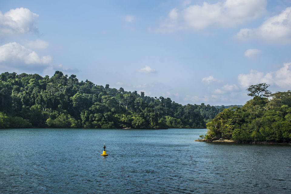 Photo of A Day Trip to Baratang Island Ended up Seeing Jarawa tribes and Many More by Vaswati