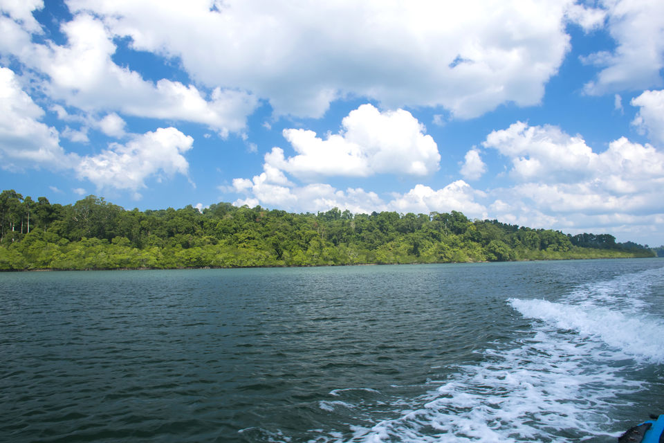 Photo of A Day Trip to Baratang Island Ended up Seeing Jarawa tribes and Many More by Vaswati