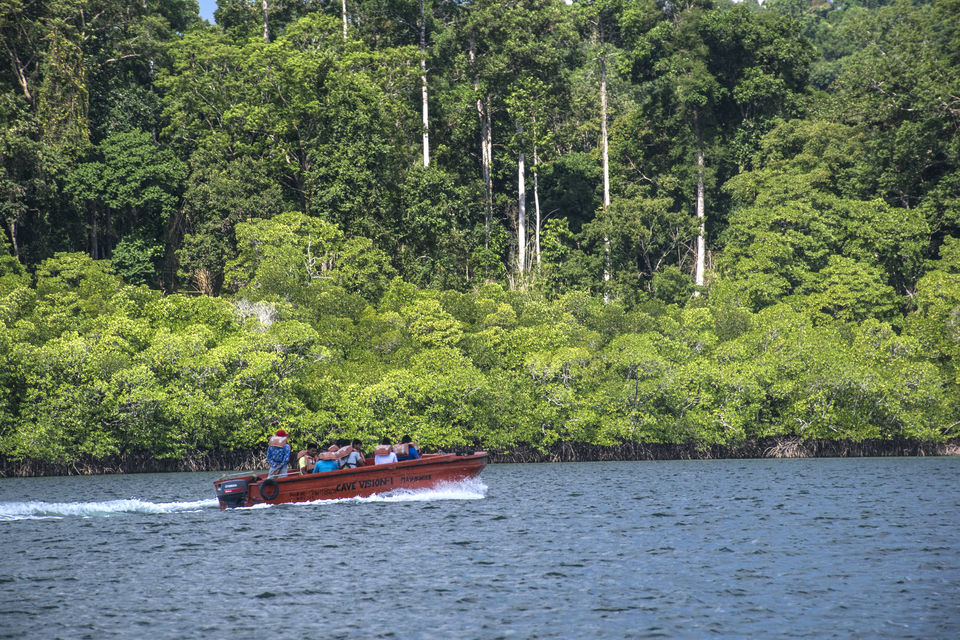 Photo of A Day Trip to Baratang Island Ended up Seeing Jarawa tribes and Many More by Vaswati