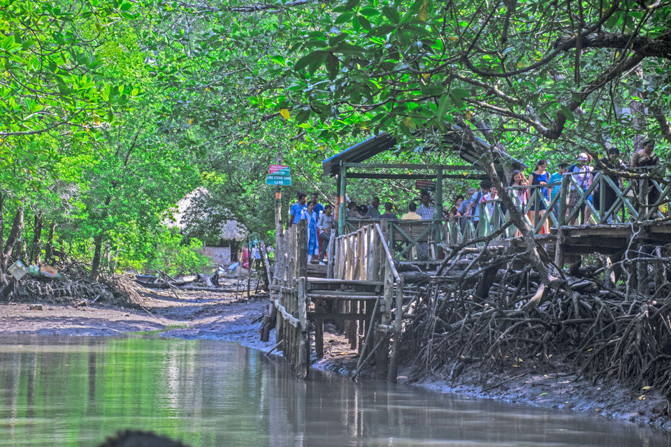Photo of A Day Trip to Baratang Island Ended up Seeing Jarawa tribes and Many More by Vaswati