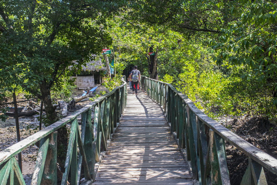 Photo of A Day Trip to Baratang Island Ended up Seeing Jarawa tribes and Many More by Vaswati