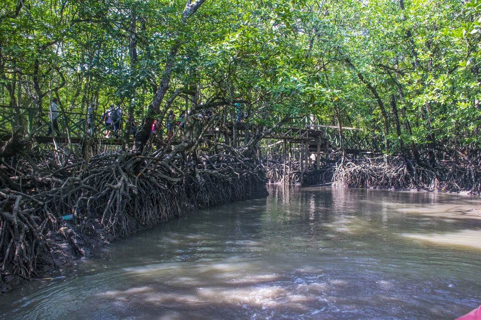 Photo of A Day Trip to Baratang Island Ended up Seeing Jarawa tribes and Many More by Vaswati