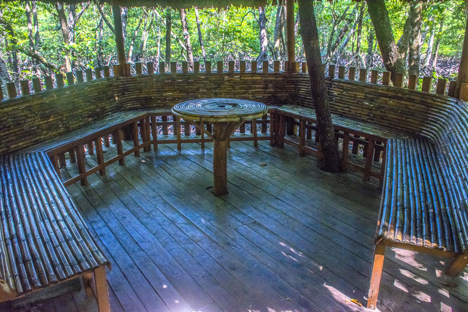 Photo of A Day Trip to Baratang Island Ended up Seeing Jarawa tribes and Many More by Vaswati