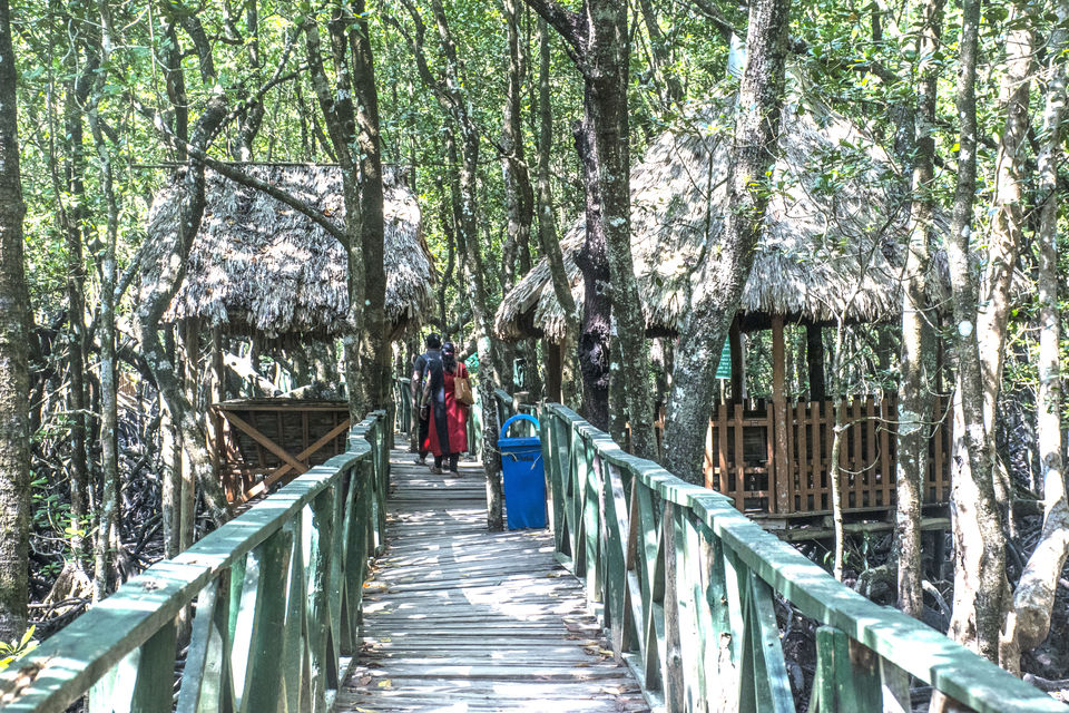 Photo of A Day Trip to Baratang Island Ended up Seeing Jarawa tribes and Many More by Vaswati
