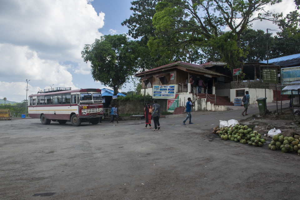 Photo of A Day Trip to Baratang Island Ended up Seeing Jarawa tribes and Many More by Vaswati