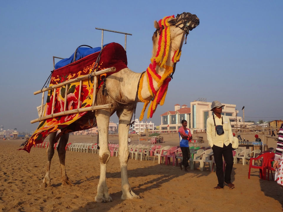 Photo of Everything You Need to Know about Puri - A Holy City in Odisha, India 6/6 by Vaswati