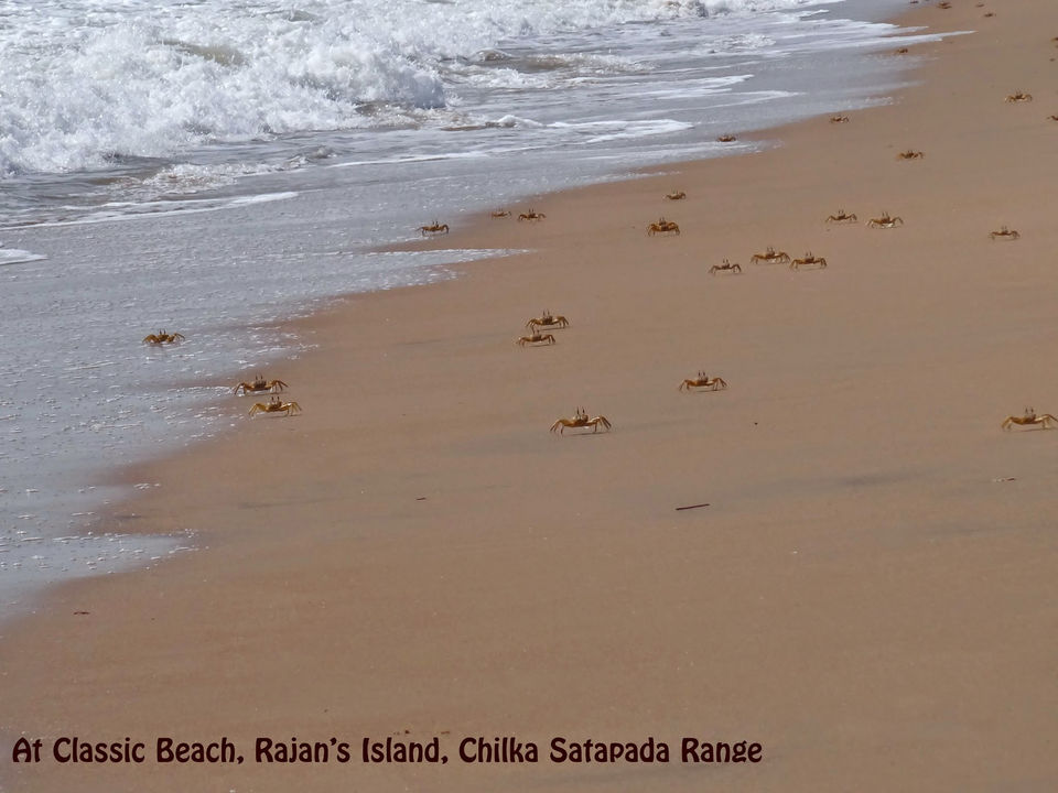 Photo of Everything You Need to Know about Puri - A Holy City in Odisha, India by Vaswati