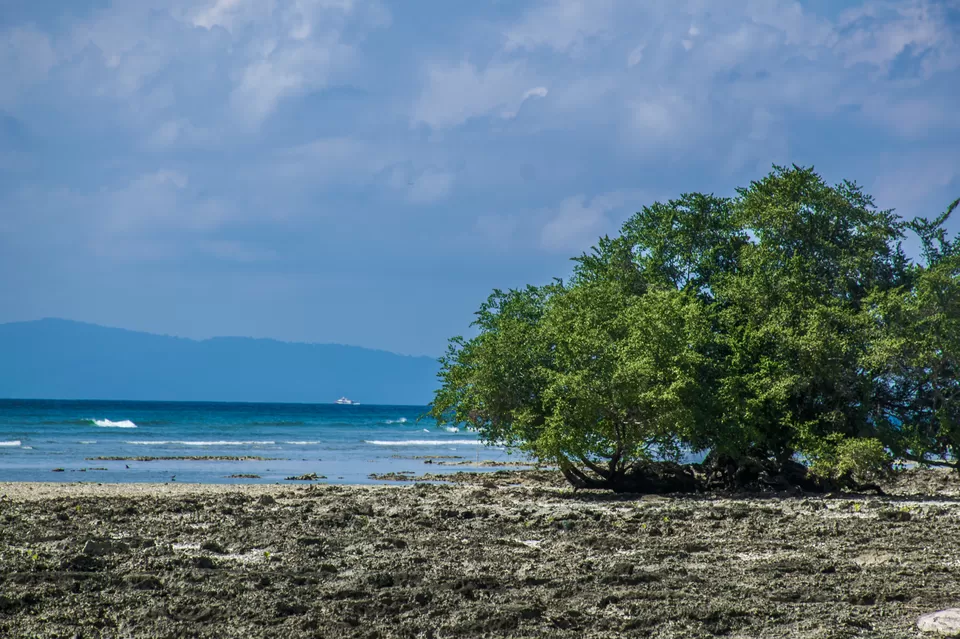 Photo of Ramnagar Beach, Andaman and Nicobar Islands, India by Vaswati