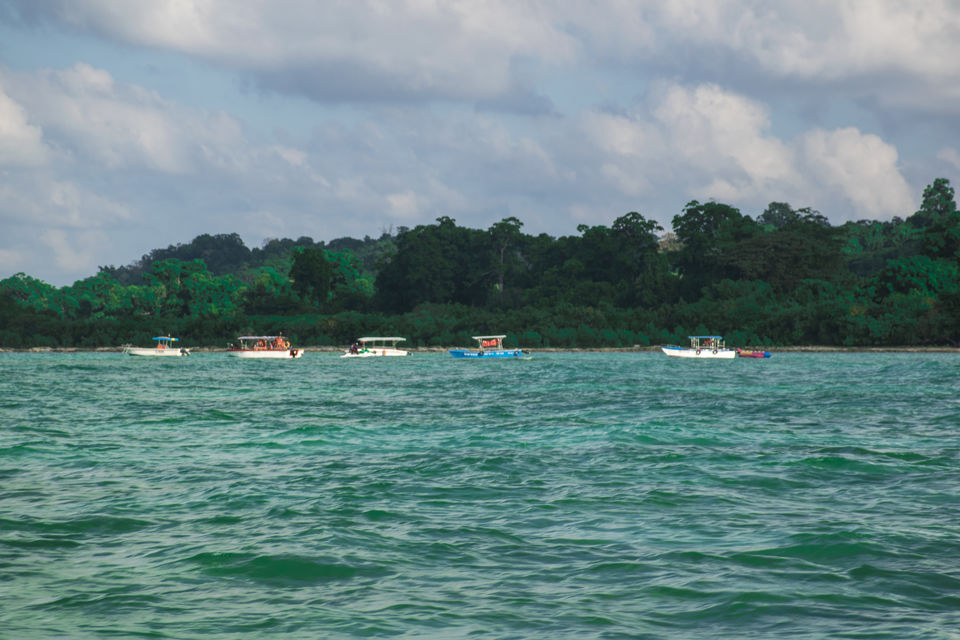 Photo of Bharatpur Beach, Neil Island, Bharatpur, Andaman and Nicobar Islands, India by Vaswati