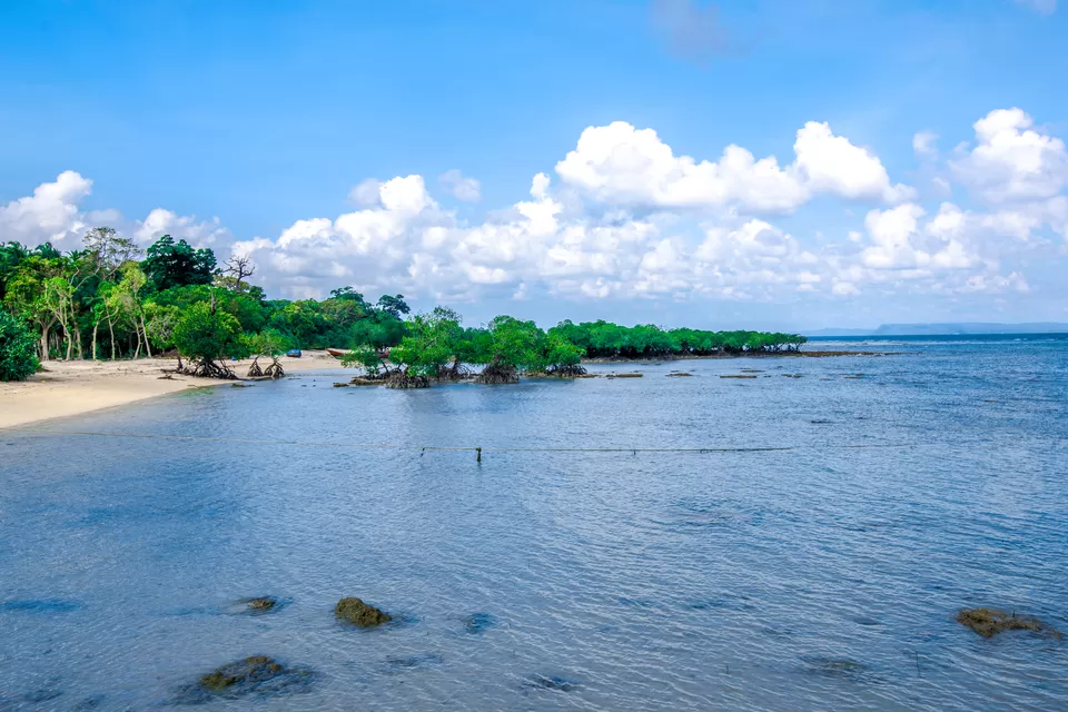 Photo of Neil Island, Andaman and Nicobar Islands by Vaswati