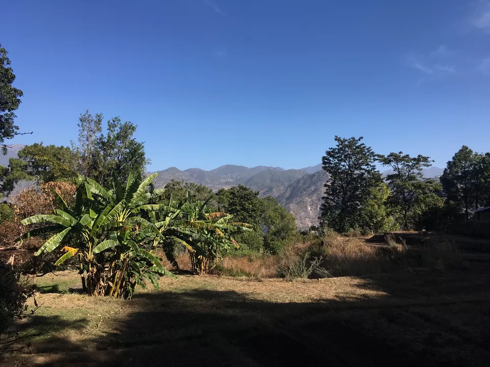 Photo of Himalayan Farm, Nainital, Uttarakhand, India by Akshita J