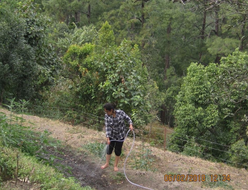 Photo of Travelling To Uttarakhand Without A Return Ticket #bestof2018 by Akshita J