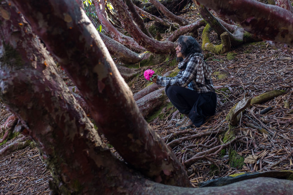 Photo of HUMANS OF NATURE - A Photo Blog 6/13 by Akshita J