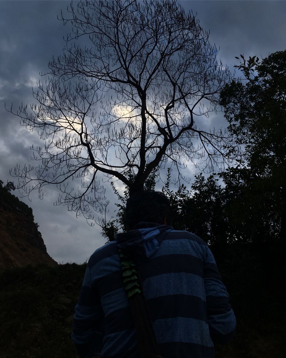 Photo of HUMANS OF NATURE - A Photo Blog 7/13 by Akshita J