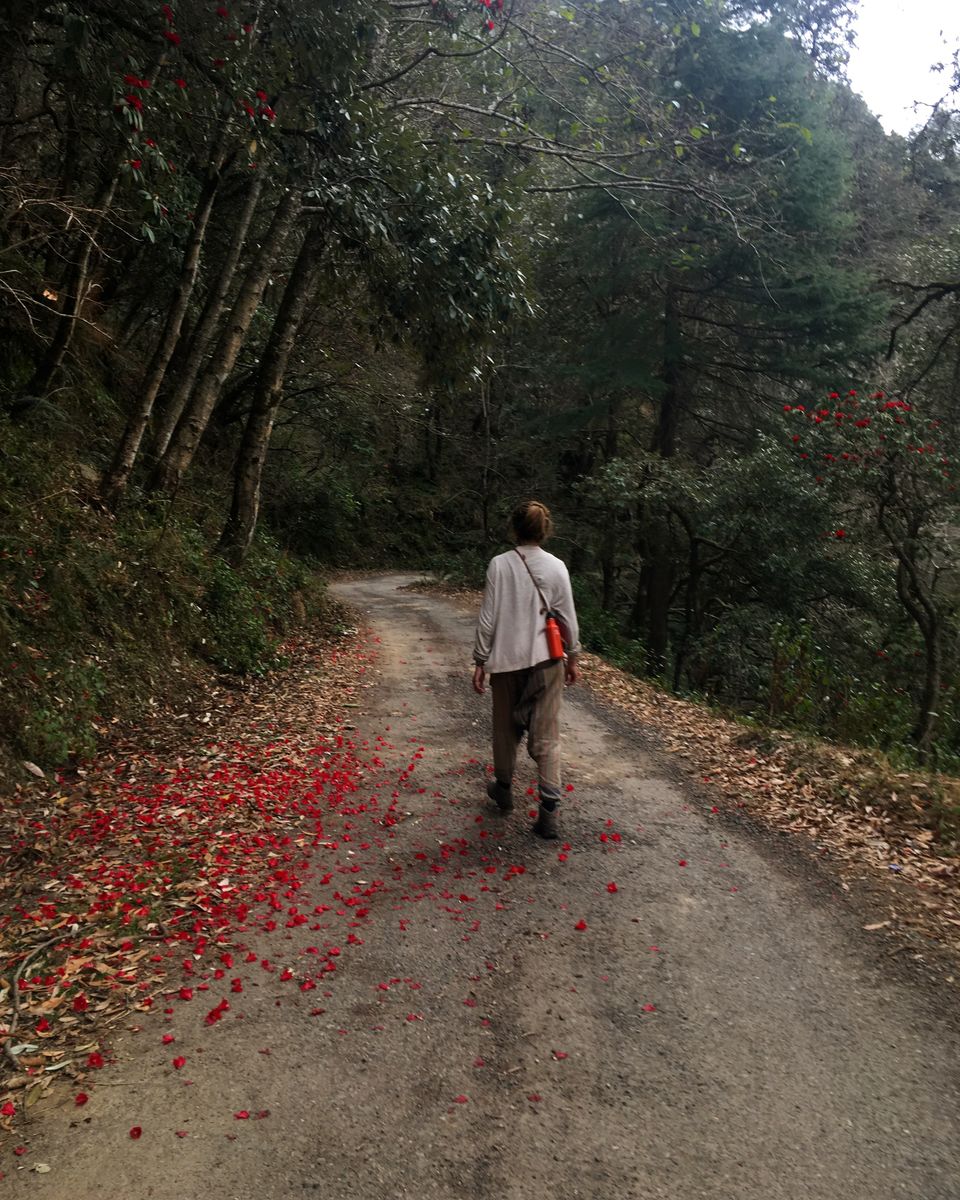 Photo of HUMANS OF NATURE - A Photo Blog 11/13 by Akshita J