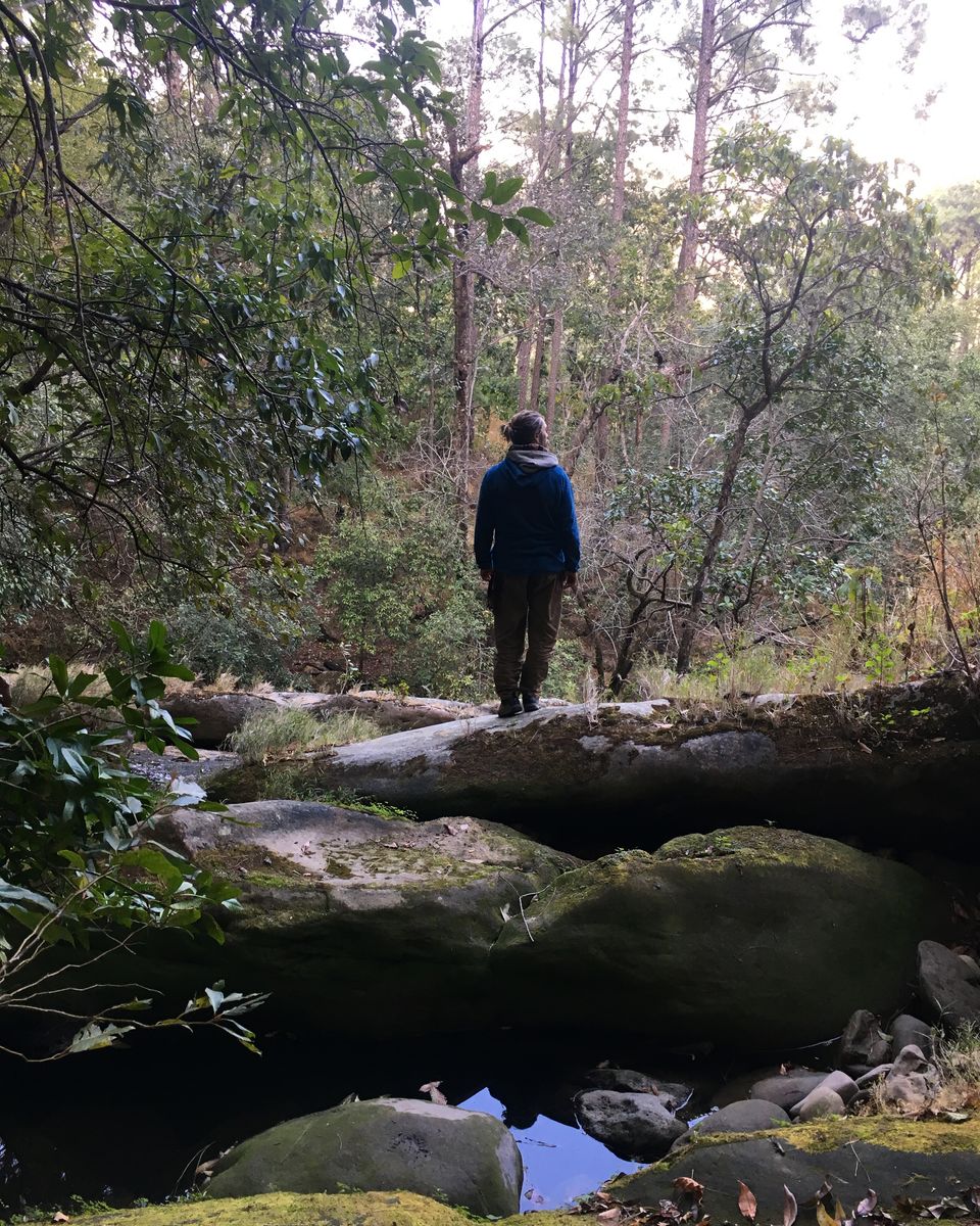 Photo of HUMANS OF NATURE - A Photo Blog 10/13 by Akshita J