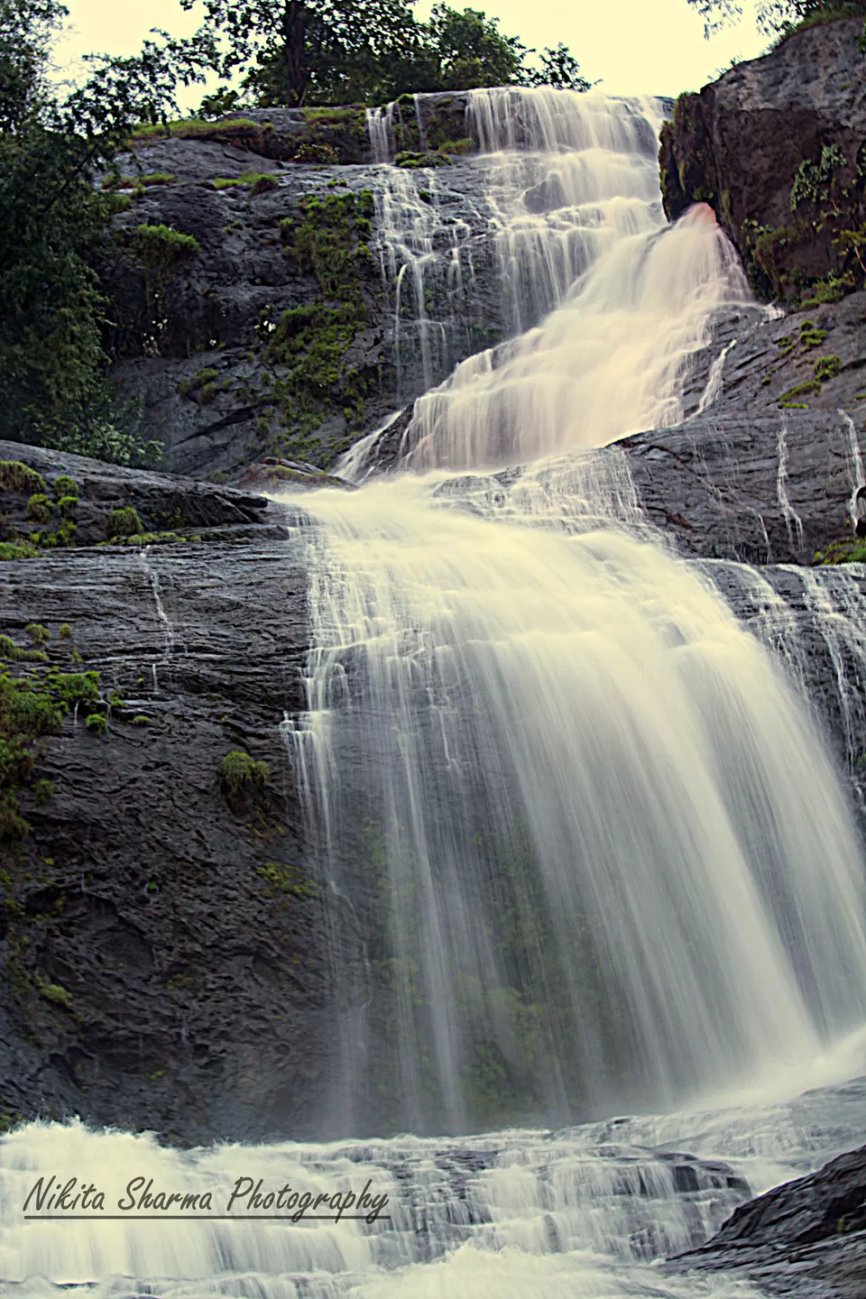 Photo of Munnar, Kerala, India by Nikki Sharma