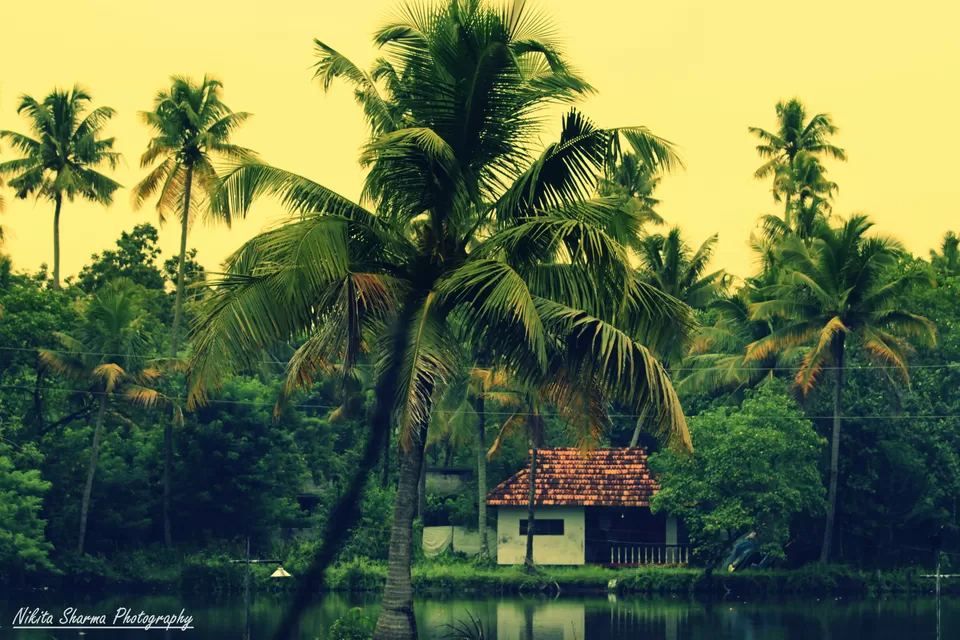 Photo of Trivandrum, Kerala, India by Nikki Sharma