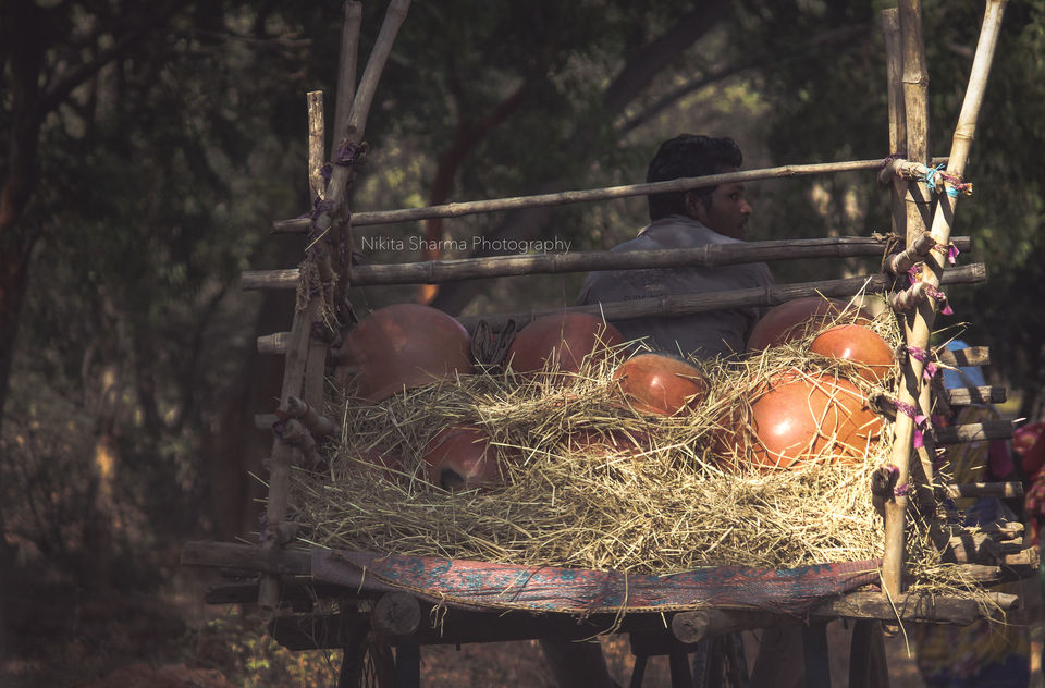 Photo of Mainpat Environs (Mini Shimla with Tibet culture) by Nikki Sharma
