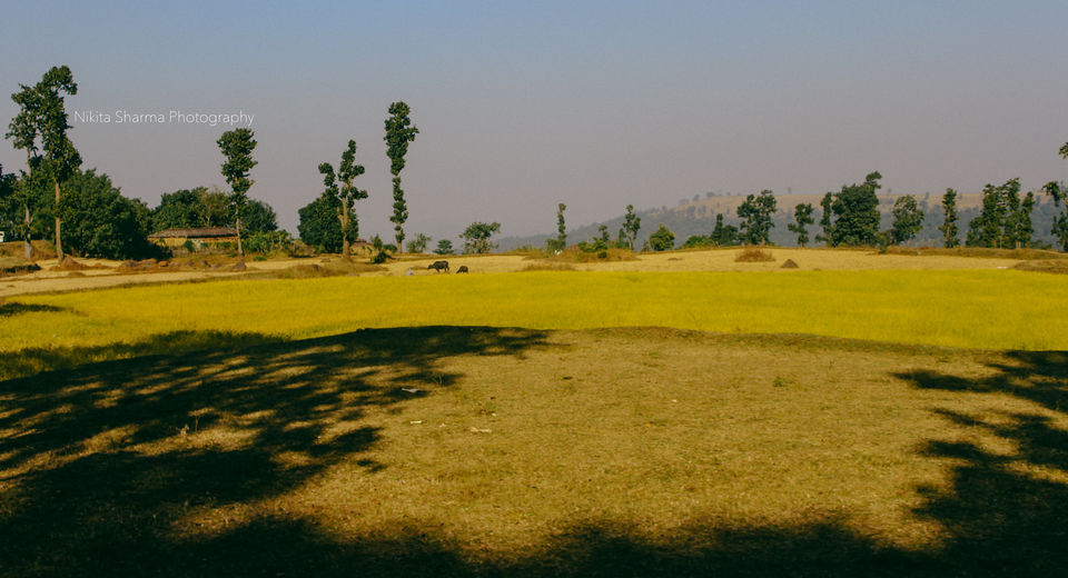 Photo of Mainpat Environs (Mini Shimla with Tibet culture) by Nikki Sharma