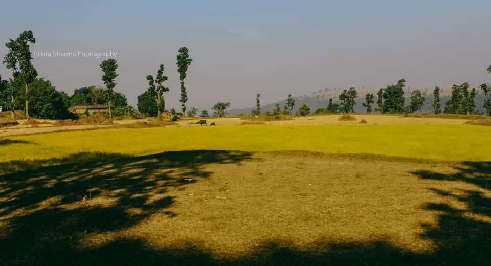 Photo of Mainpat Environs (Mini Shimla with Tibet culture) by Nikki Sharma