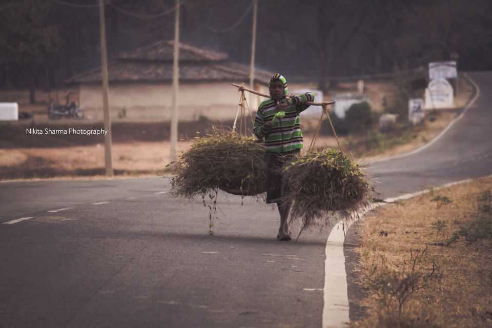 Photo of Mainpat Environs (Mini Shimla with Tibet culture) by Nikki Sharma